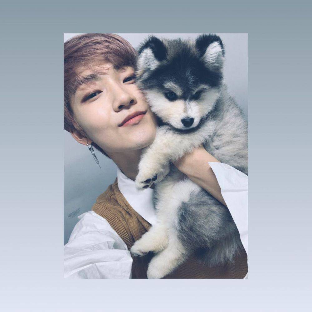 twitter.com/we_the_boyz