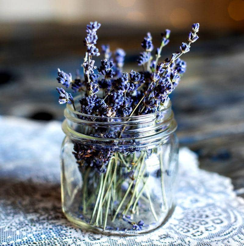 unsplash.com/Heather Ford