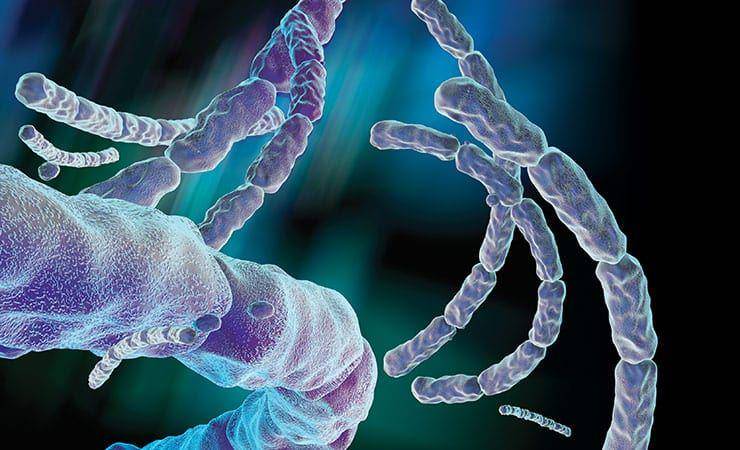 globalbiodefense.com