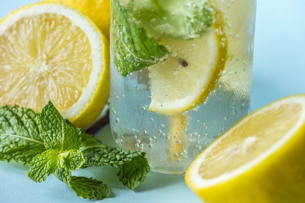 10 Resep Cara Membuat Infused Water yang Berfungsi Mengeluarkan Racun