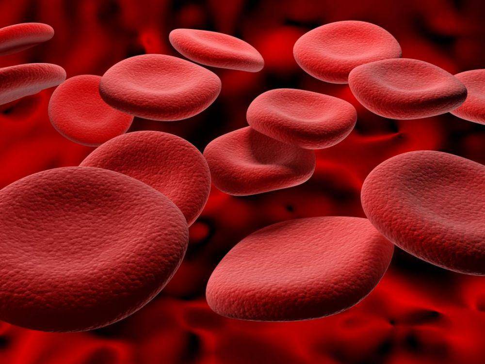 medicalnewstoday.com