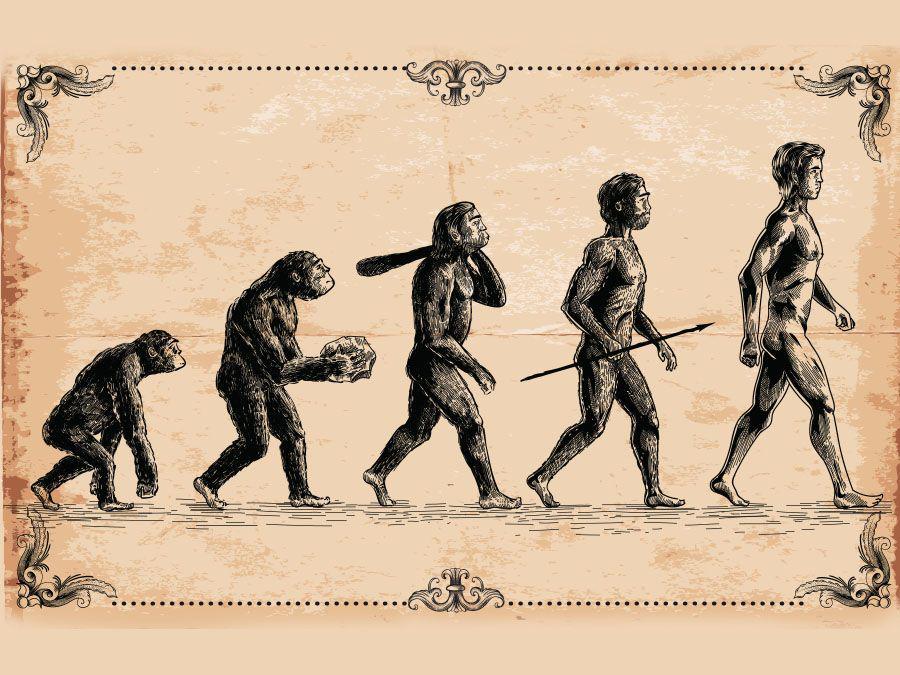13 Miskonsepsi yang Sering Ditemukan dalam Ilmu Evolusi