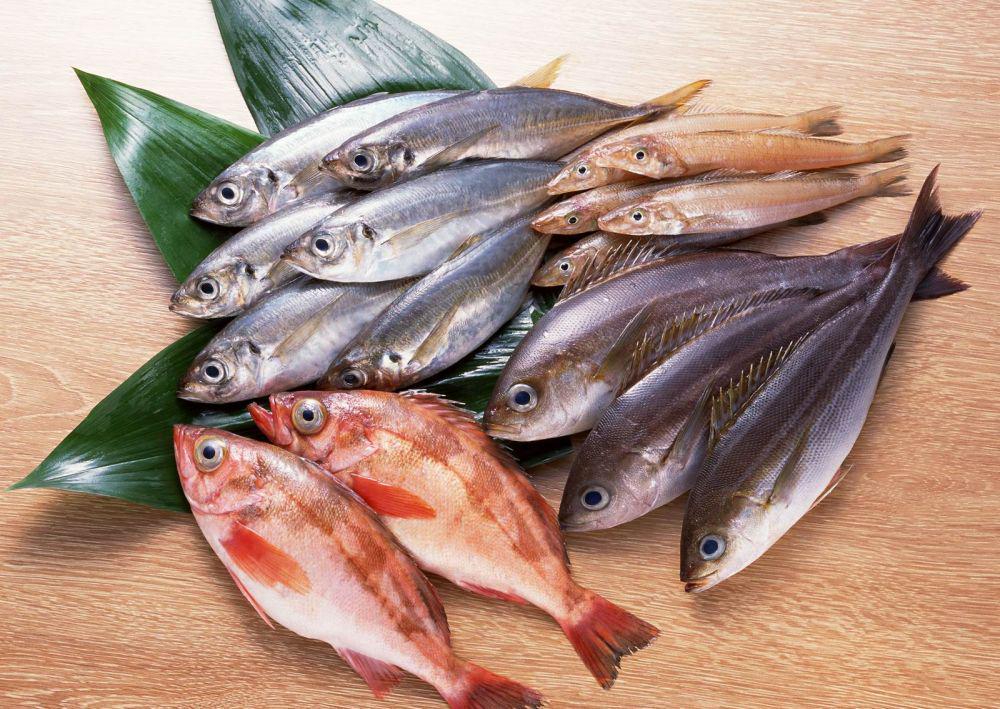 7 Manfaat Mengonsumsi Ikan Secara Rutin, Bikin Tambah Sehat