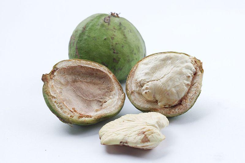 5 Manfaat Gayam bagi Kesehatan, Mengobati Sariawan hingga Diare