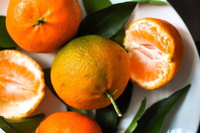 Unsplash/alinasagirova