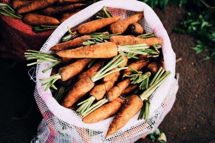 5 Tips Menyimpan Wortel Agar Tahan Lama dan Tidak Gampang Busuk