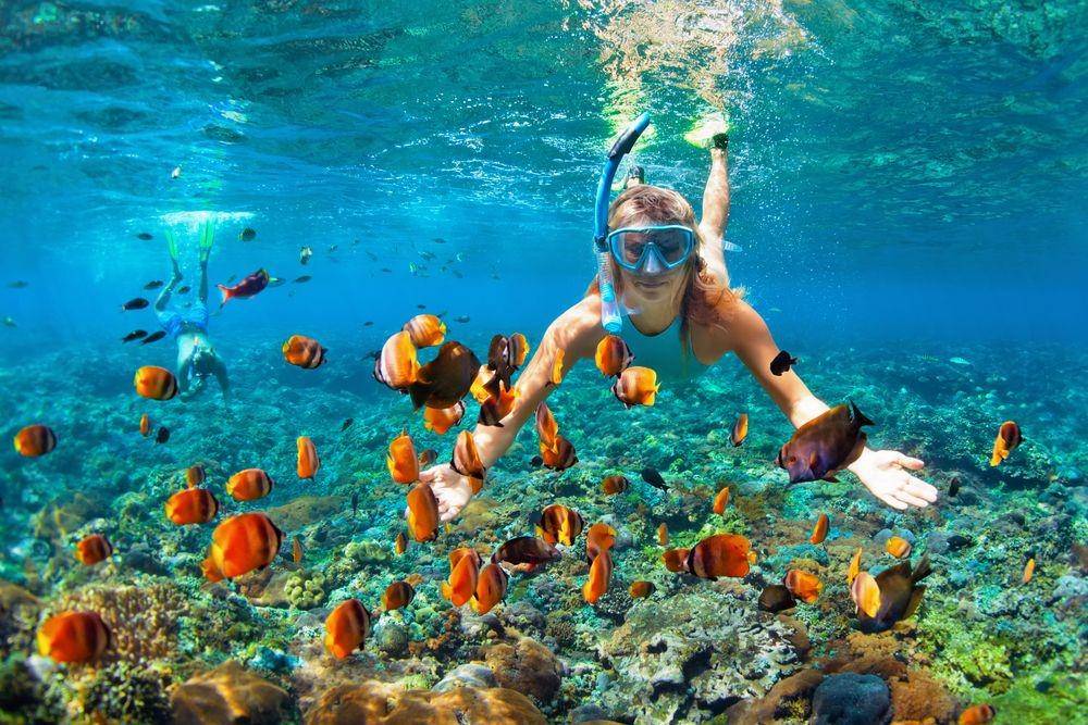 Shutterstock/ Tropical studio