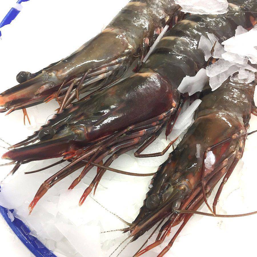eatmorefish.ie