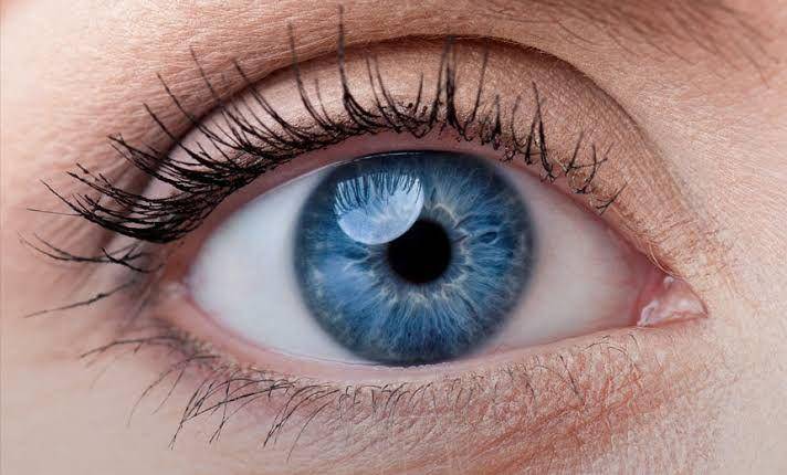 visioneyeinstitute.com.au