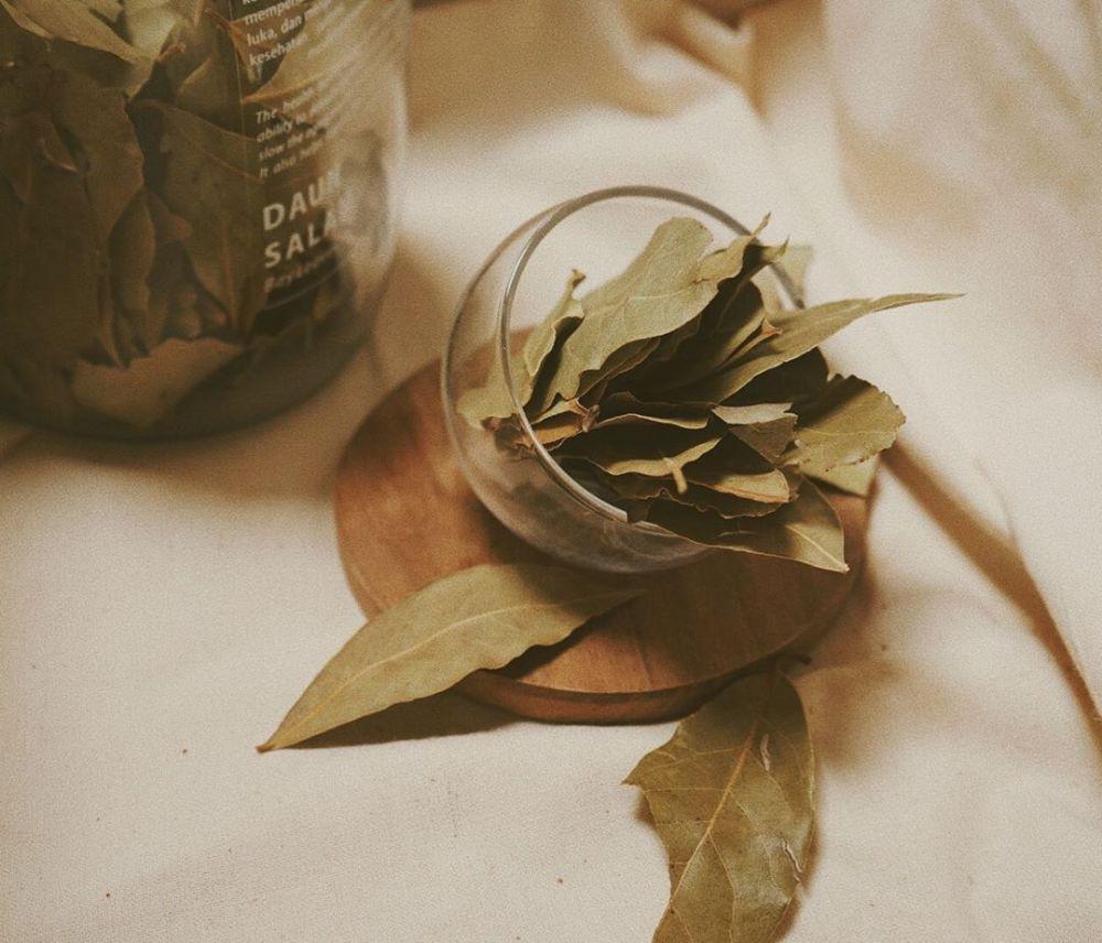 6 Tips Menyimpan Daun Salam Agar Tahan Lama & Tak Gampang Rusak