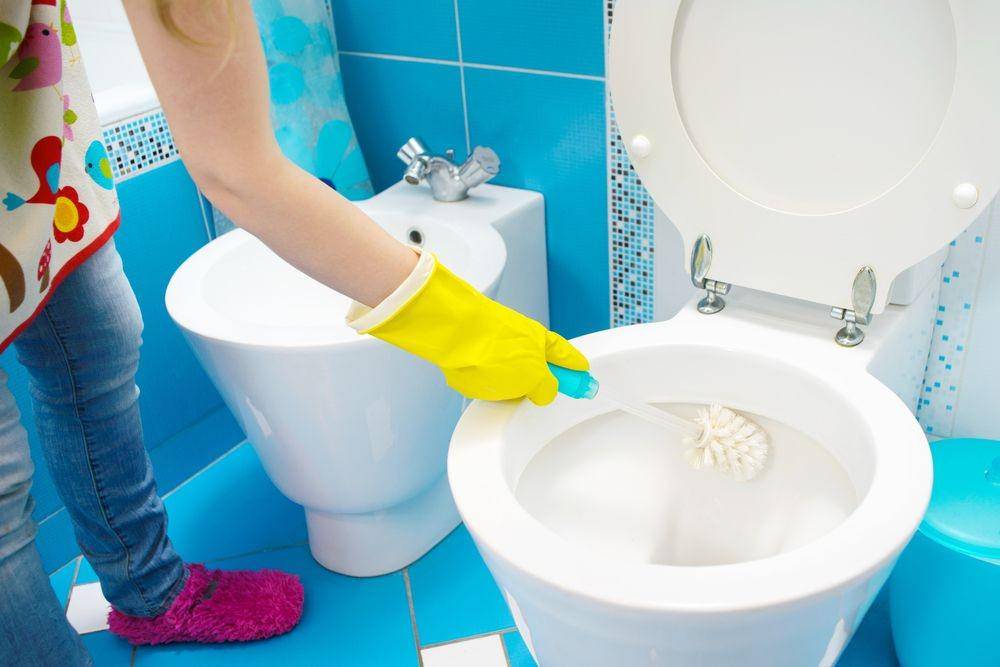 besttoiletguide.net