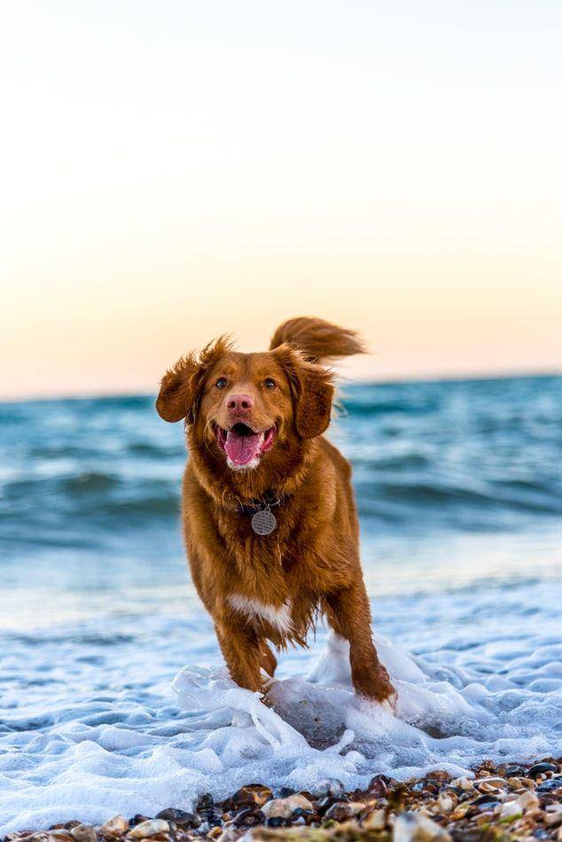 unsplash.com/Oscar Sutton