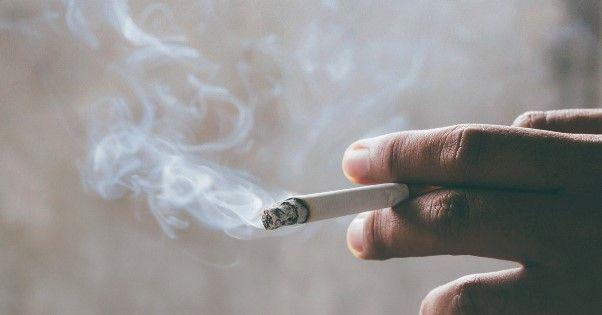 5 Reaksi Alami Tubuh saat Kamu Merokok, Yakin Mau Jadi Pecandu?