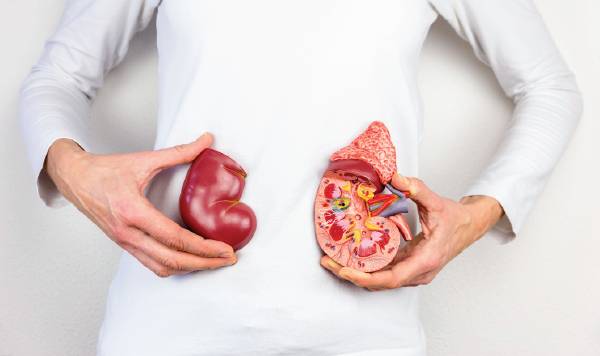 urology.co.za