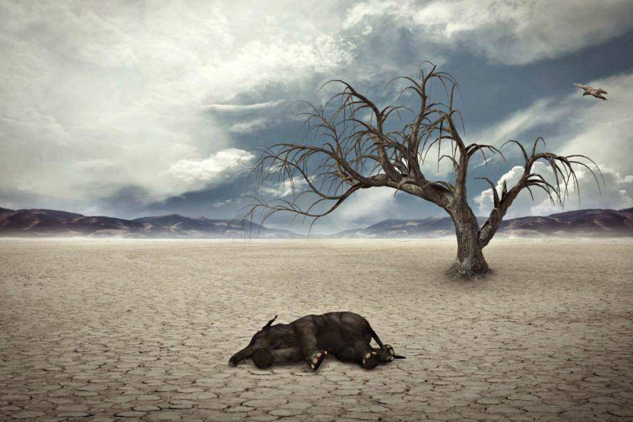 inhabitat.com