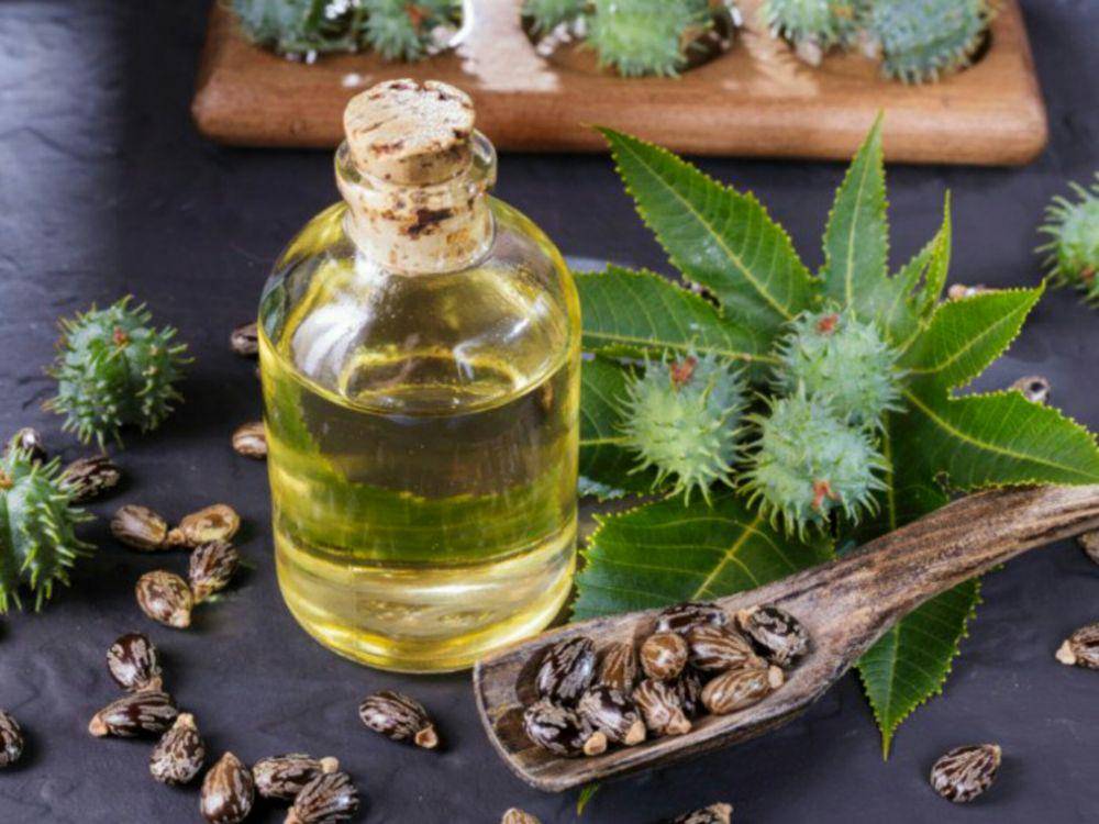 isiriorganic.com
