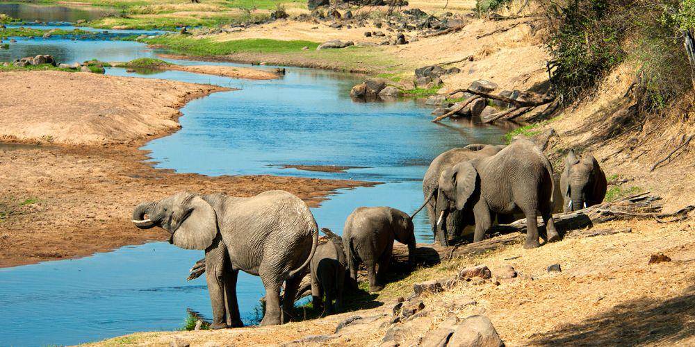 auramsafaris.com
