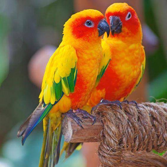 Twitter.com/marie_nassar