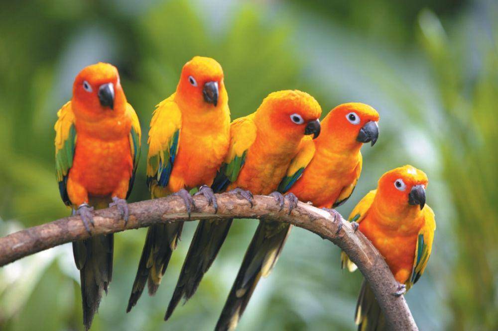newwallpapershd.com