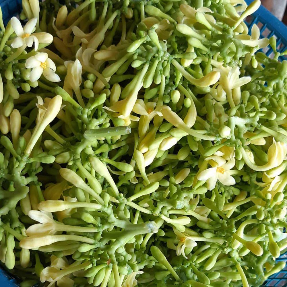 5 Manfaat Bunga Pepaya untuk Kesehatan, Bisa Mencegah Kanker!