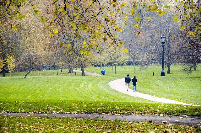 parkgrandhydepark.co.uk