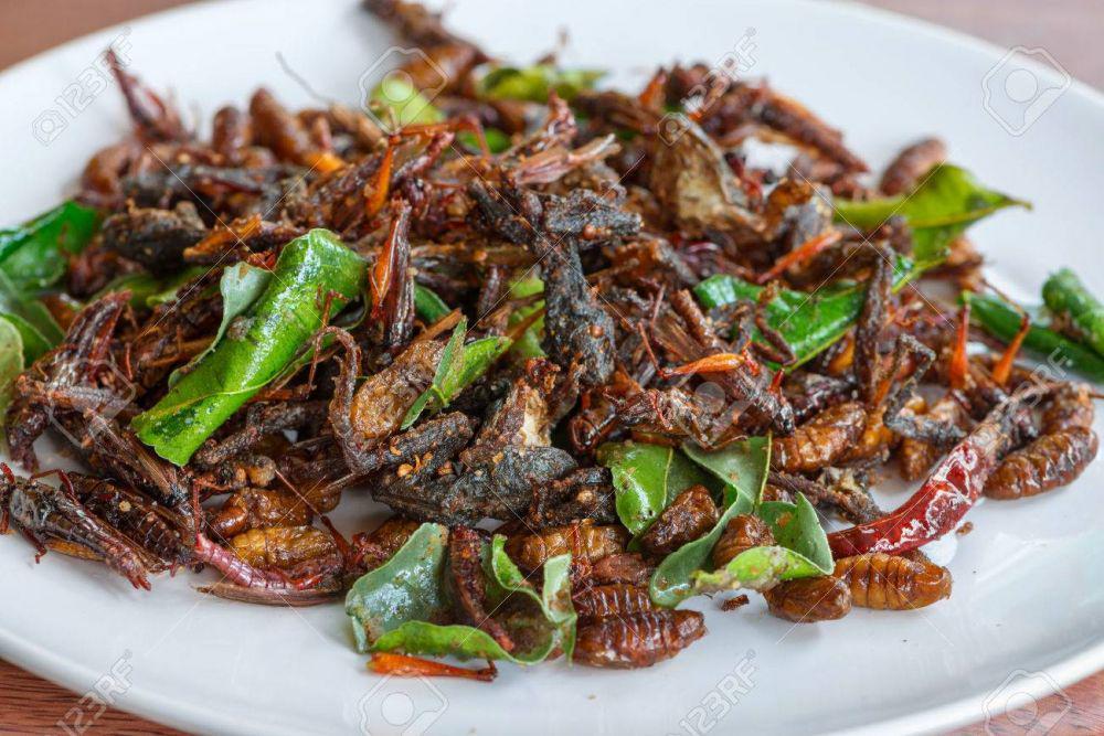 7 Kuliner Ekstrem Thailand Ini Kaya Gizi, Kamu Berani Nyicipi?