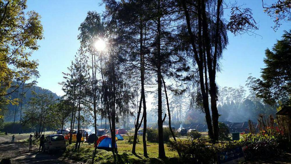 6 Pesona Ranca Upas, Lokasi Kemah Kece di Ciwidey Bandung