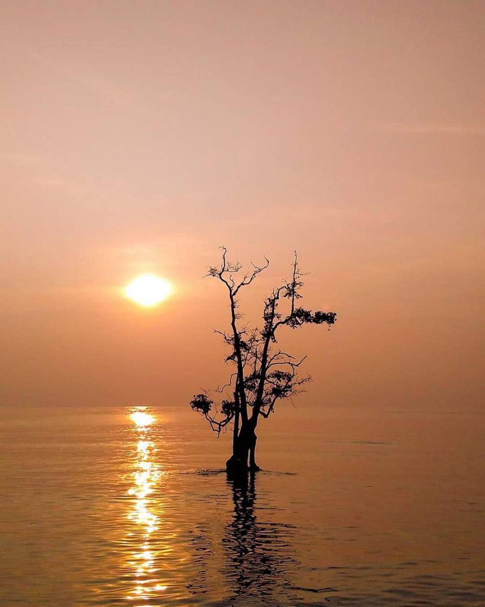 instagram.com/aboutsebira