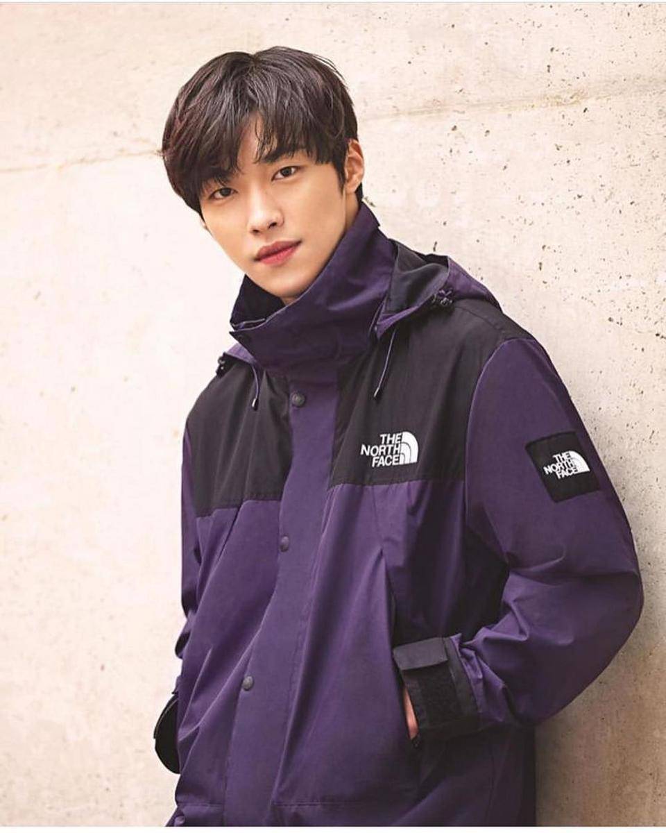 instagram.com/wdohwan.only