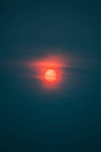 Unsplash/David von Diemar