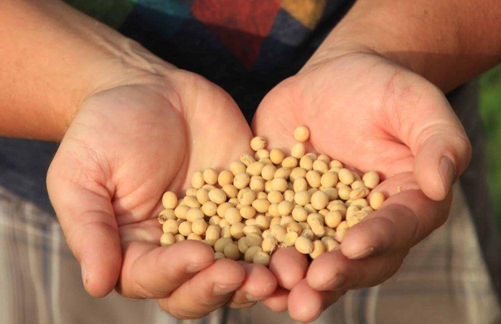 croplife.ca