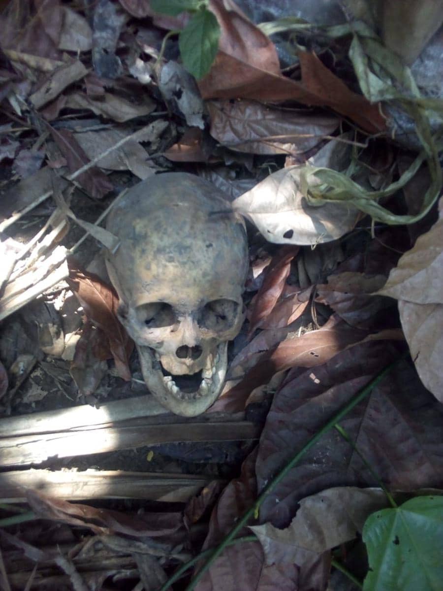 Warga Buleleng Temukan Kerangka di Kebun Dekat Karung yang Berdarah