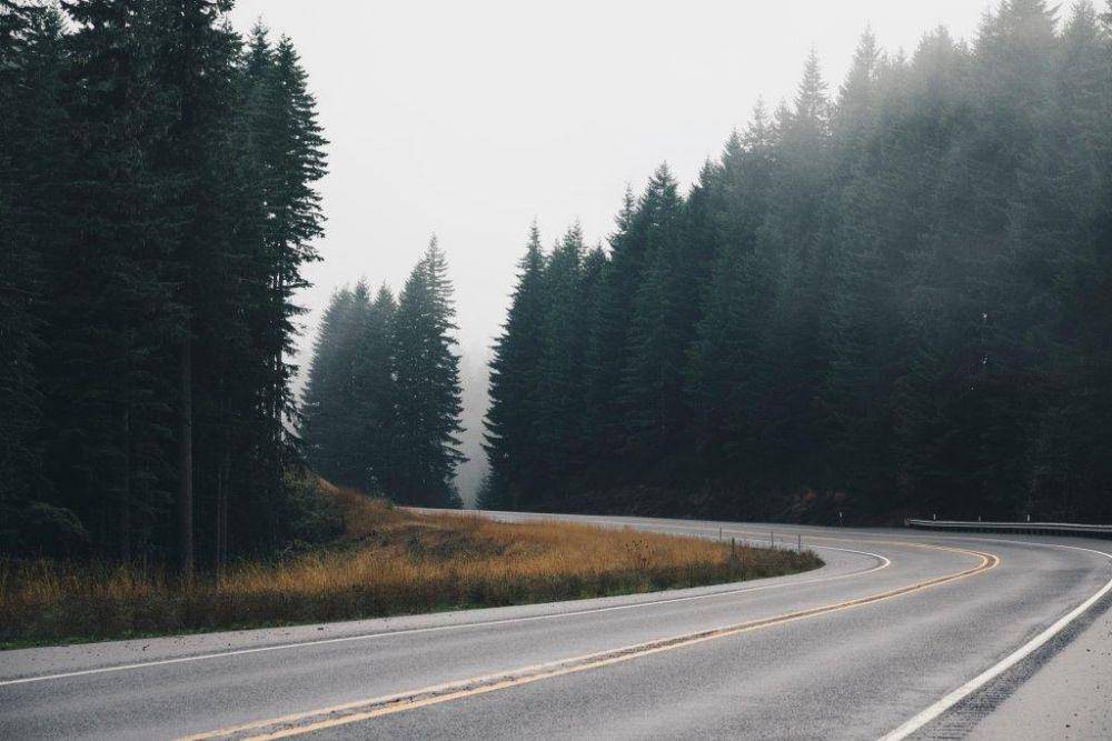 unsplash.com/Lou Levit