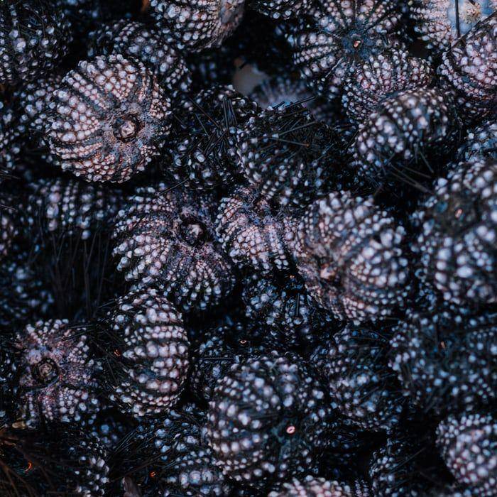 unsplash.com/jorge rosal