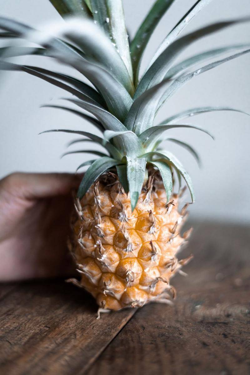 Unsplash.com/Kelli McClintock