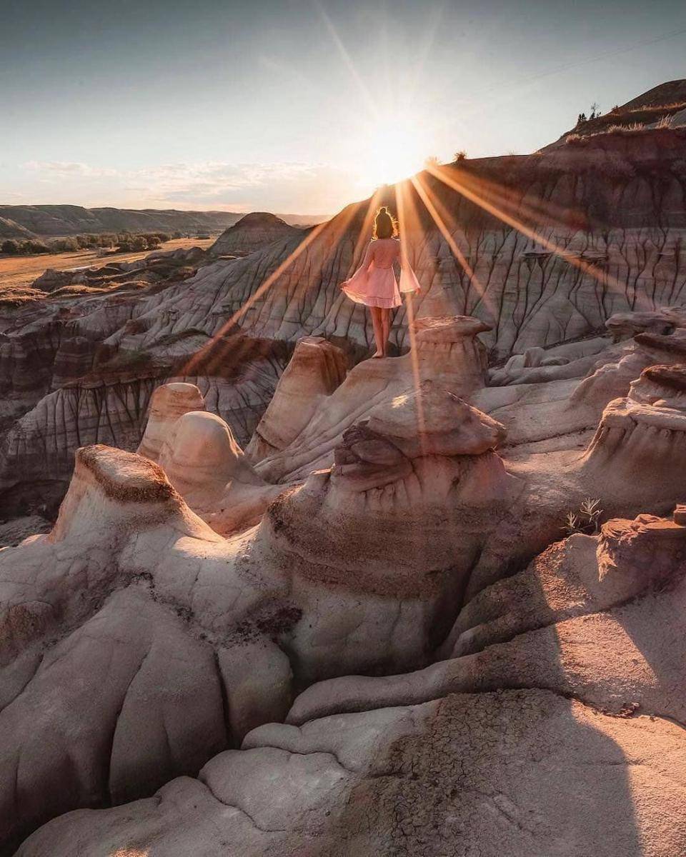 instagram.com/dailyhivecalgary