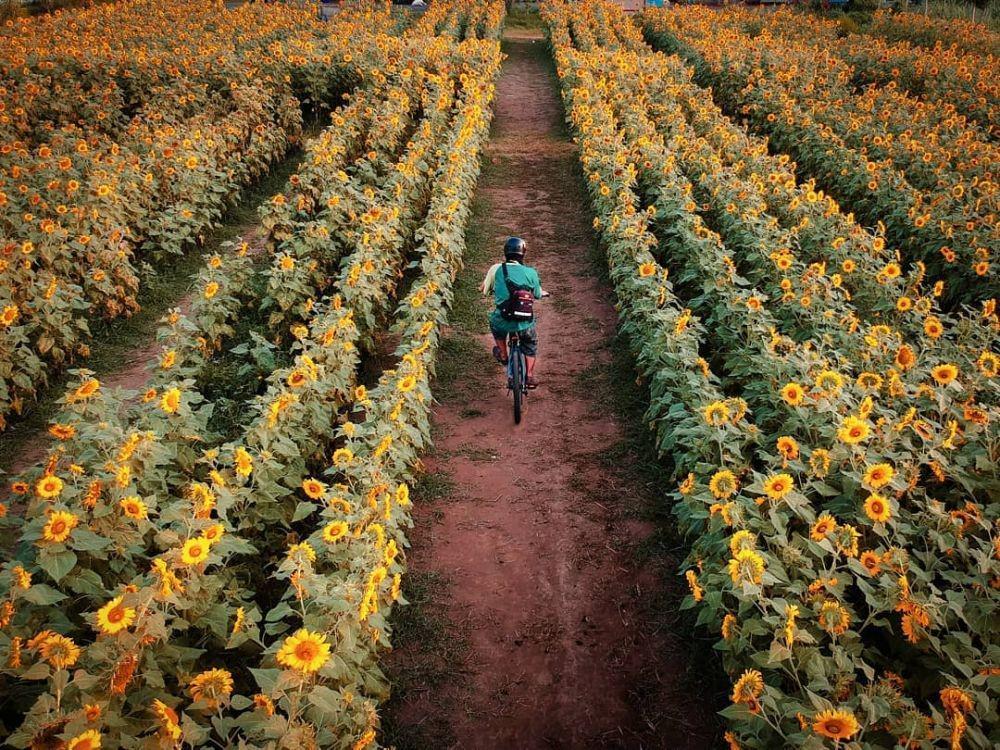 10 Tempat Wisata Kediri yang Seru, Keren dan Bikin Betah!