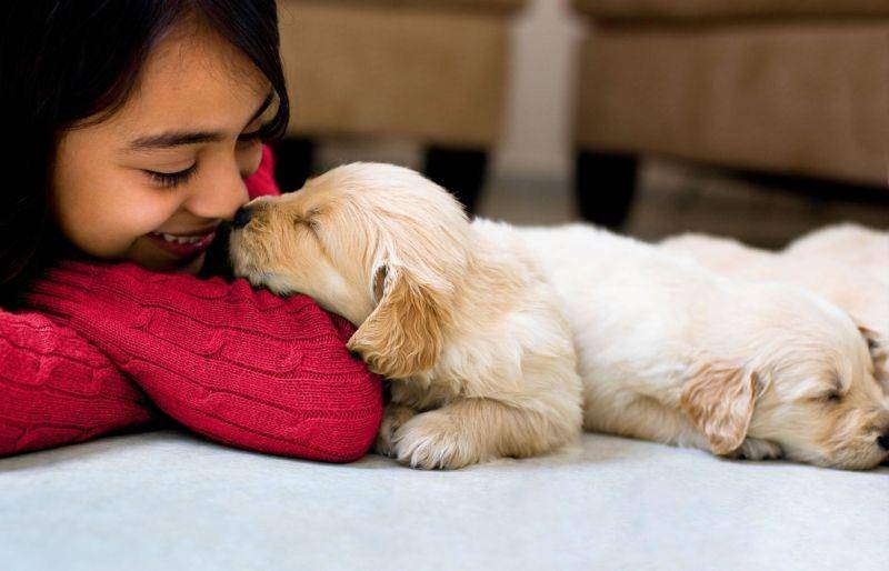petsworld.in