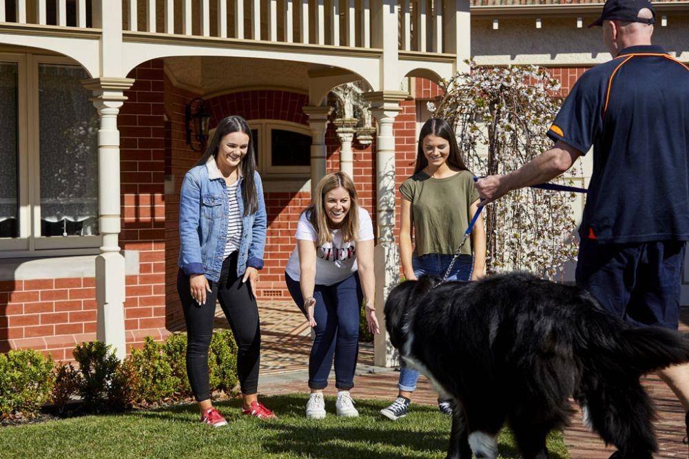 jetpets.com.au