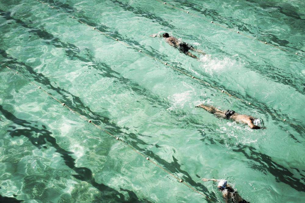 Unsplash/Fiona Smallwood