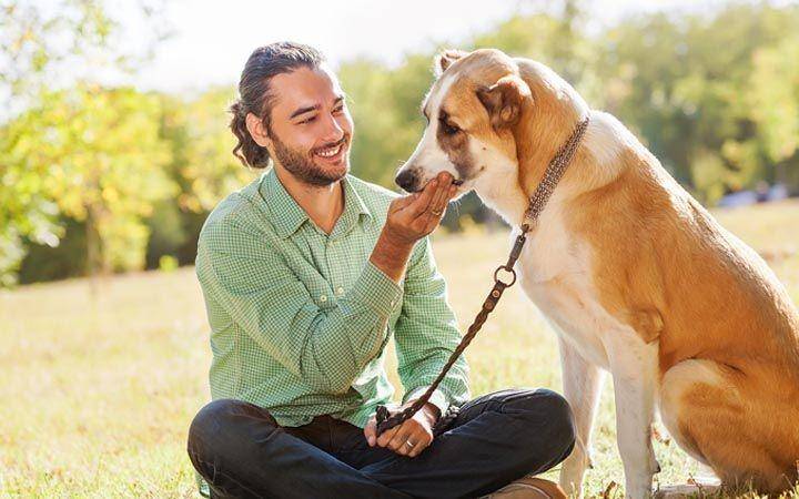 dogsbreedscenter.com
