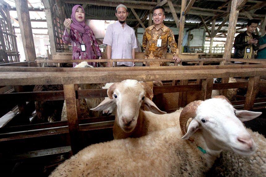 Camat Matraman Akui Minta Jatah Hewan Kurban Gratis ke Pedagang