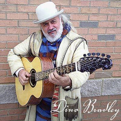 blueberryguitars.com