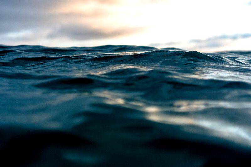 unsplash.com/Matt Hardy