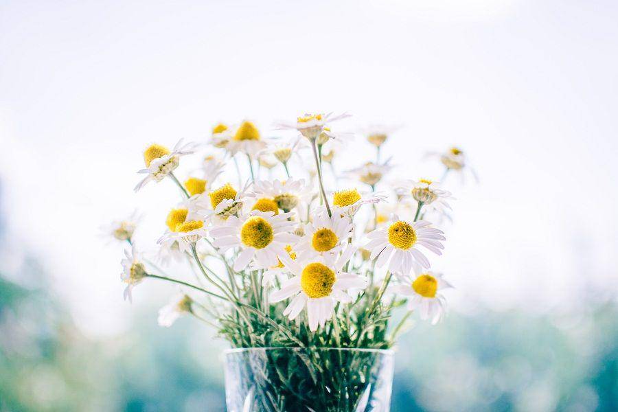 Unsplash.com/RodionKutsaev