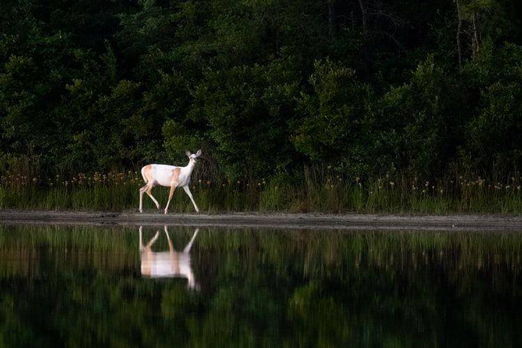 Unsplash/Ray Hennessy