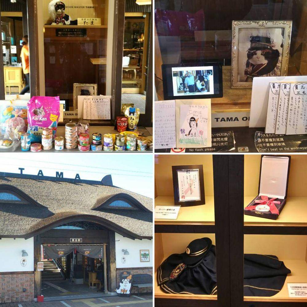 instagram.com/dalbong_kr