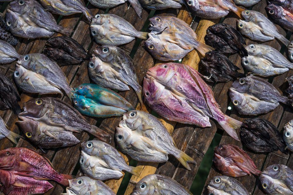 5 Resep Ikan Asin ala Restoran yang Bikin Kamu Ketagihan, Wajib Coba!