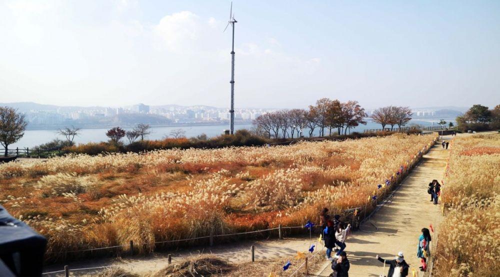 12 Destinasi Wisata Wajib di Korea Selatan, Biar Liburanmu Afdol