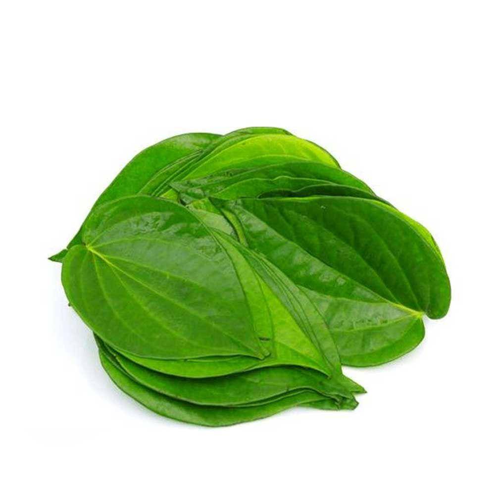 greenages.in